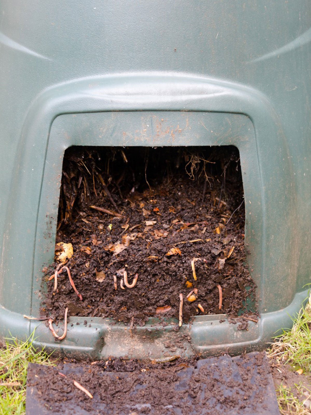 Worm composting bin in summer heat