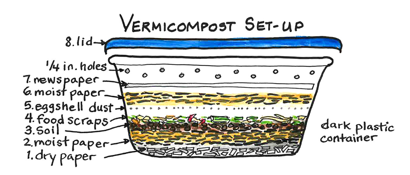 Complete worm composting setup diagram